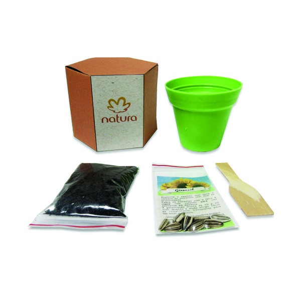 Kit Cultivo semente Personalizado Kit Cultivo semente Personalizado