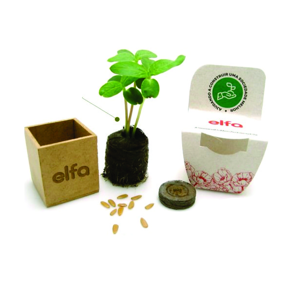 Kit Cultivo Plantio Personalizado Kit Cultivo Plantio Personalizado