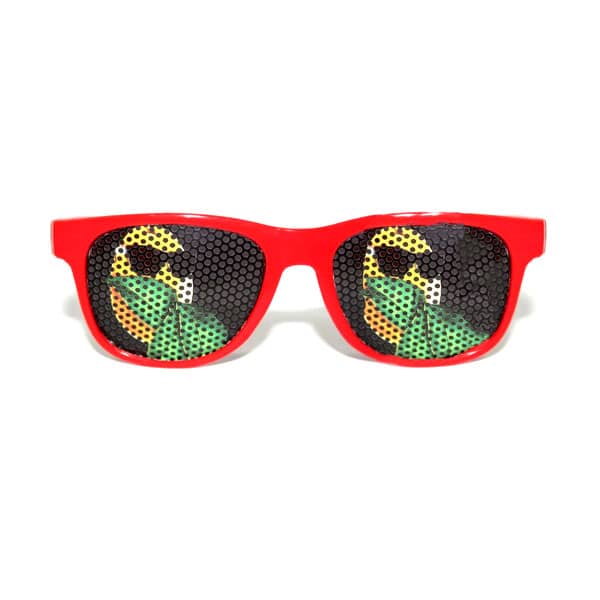 ÓCULOS LENTES PERSONALIZADAS