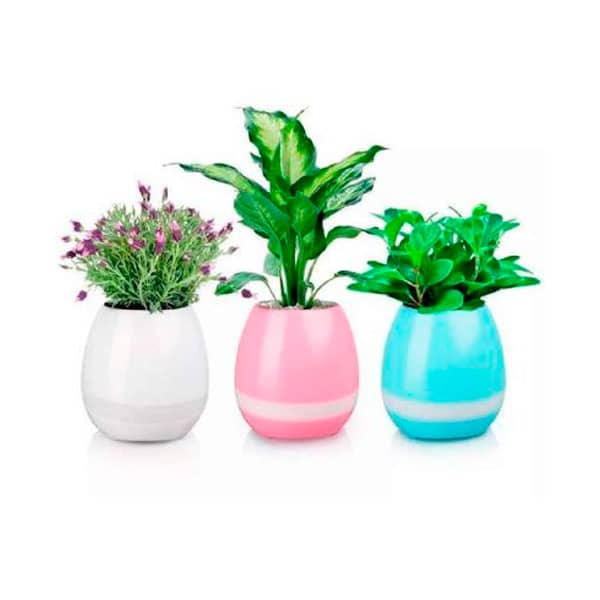 Vaso de Planta Musical com Bluetooth Personalizada