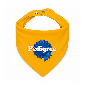 Bandana Personalizada Pet